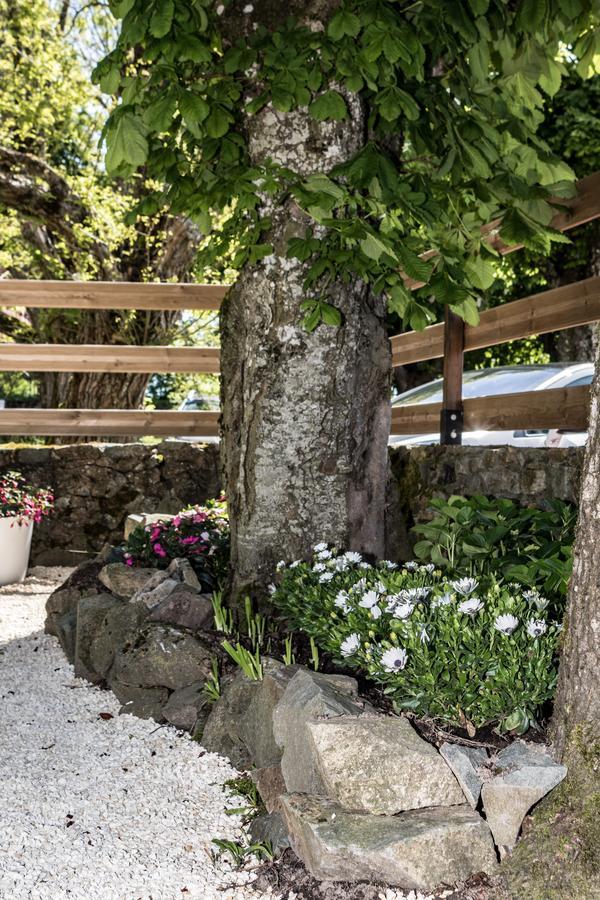Hotel Saint Pierre Les Sauvages  外观 照片