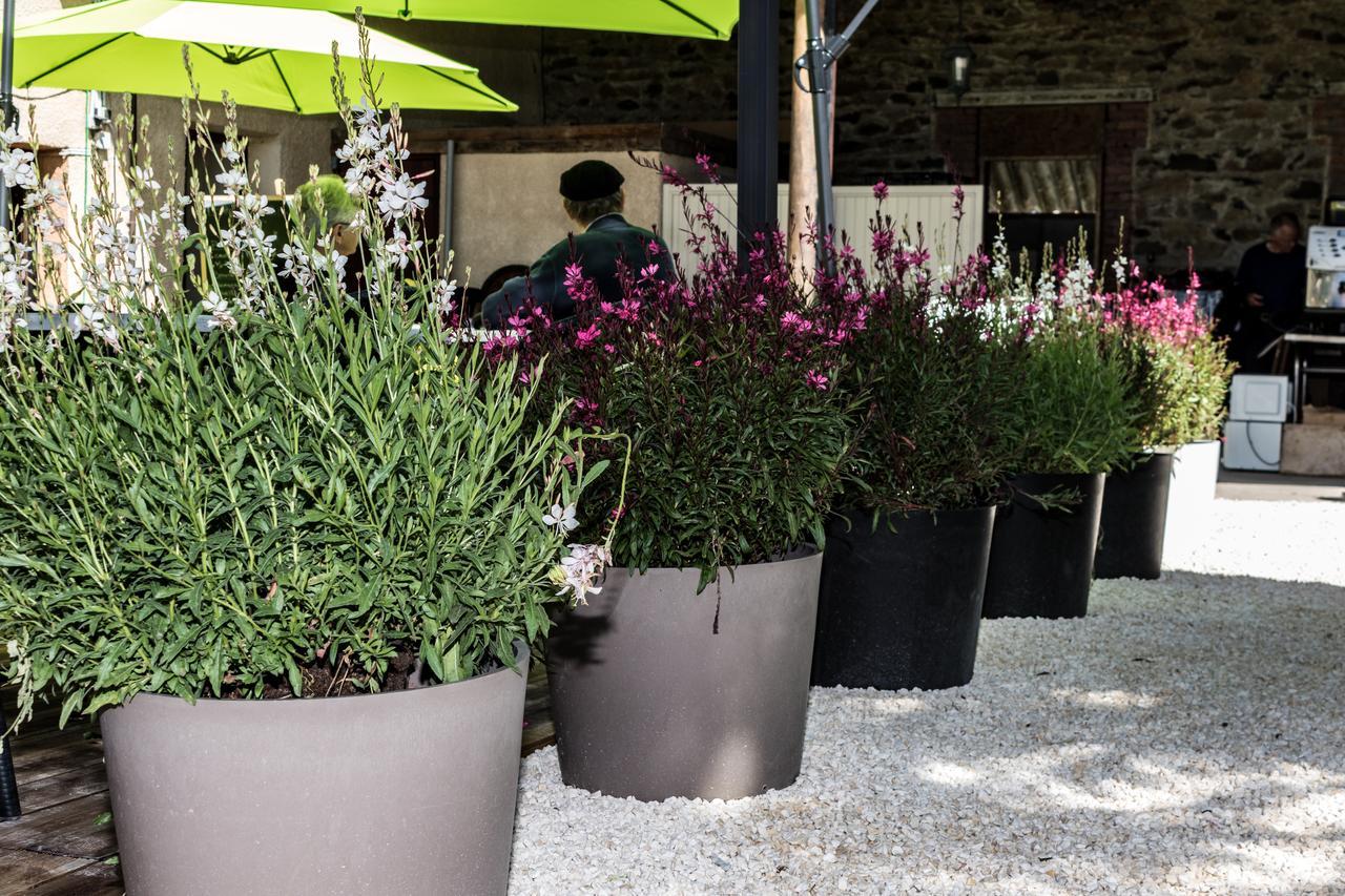 Hotel Saint Pierre Les Sauvages  外观 照片